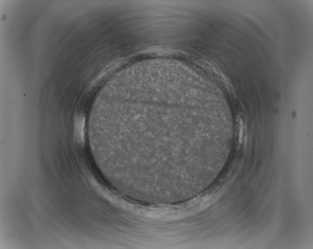 X0000087640024200705241251