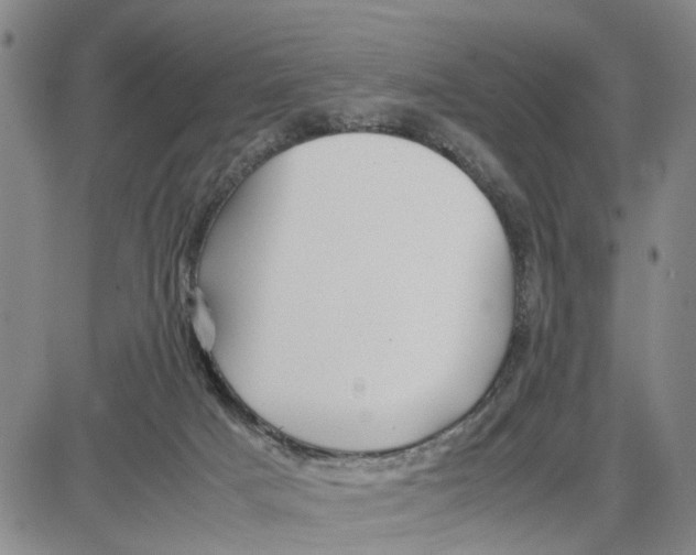 X0000087640025200705241251