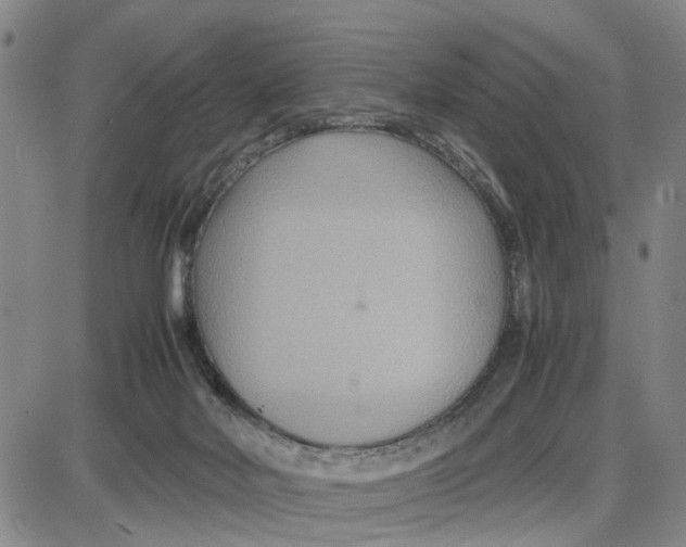 X0000087640026200705241251