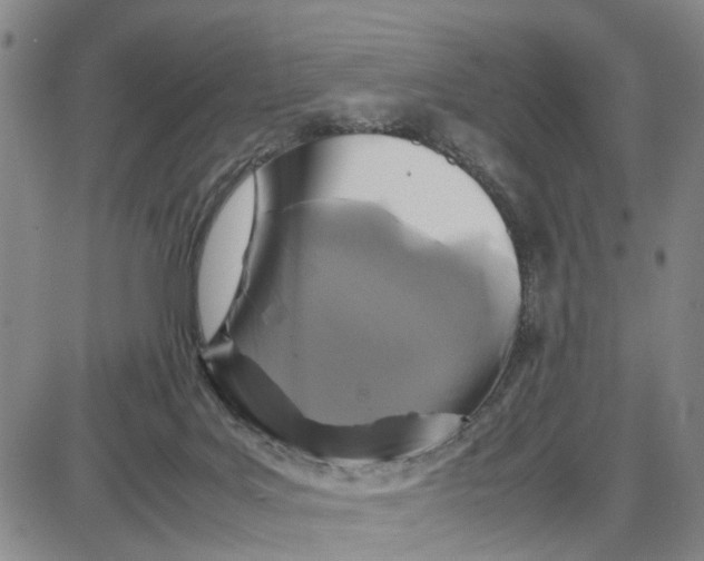 X0000087640027200705241251