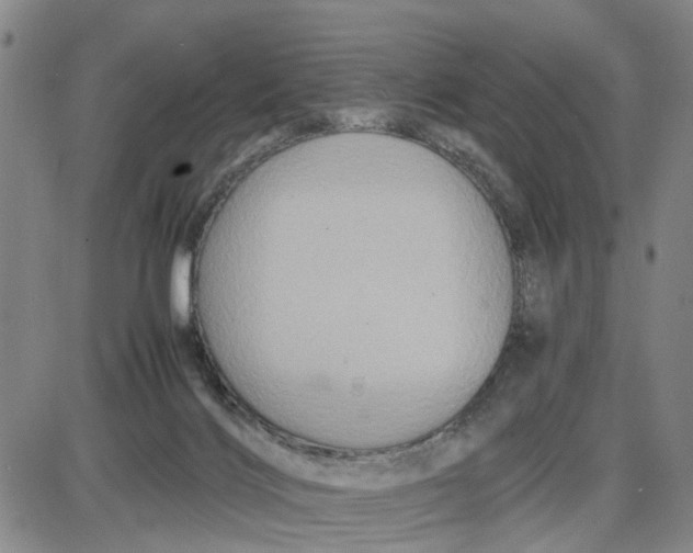 X0000087640028200705241251