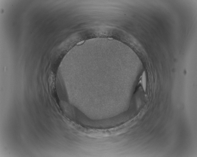 X0000087640029200705241251