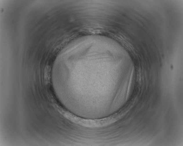 X0000087640030200705241251