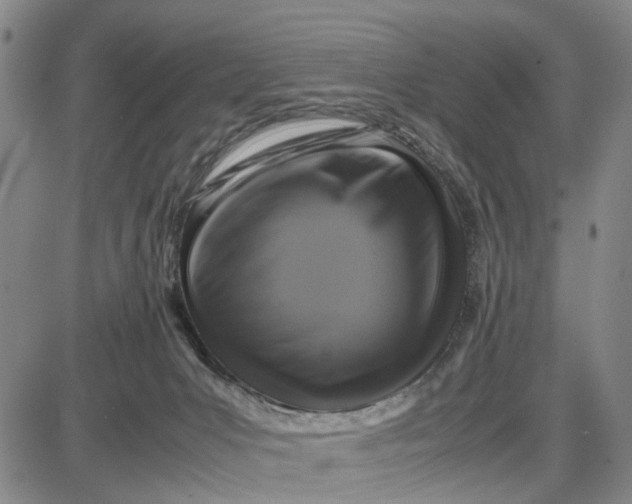 X0000087640031200705241251