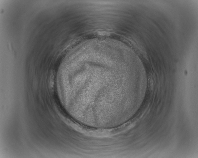 X0000087640032200705241251