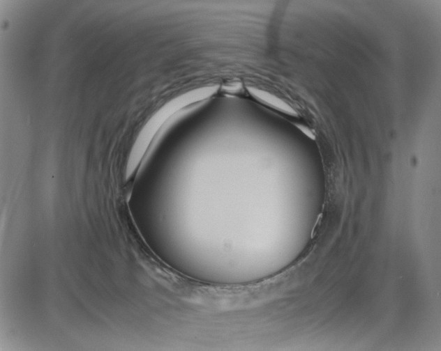 X0000087640033200705241251