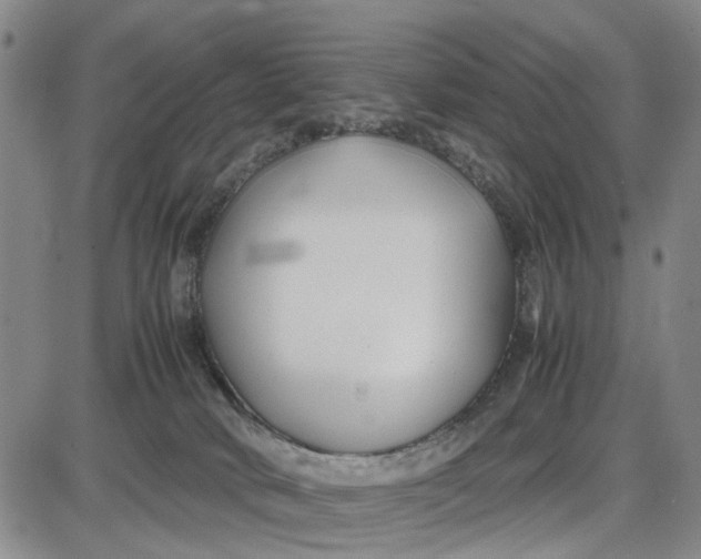 X0000087640034200705241251