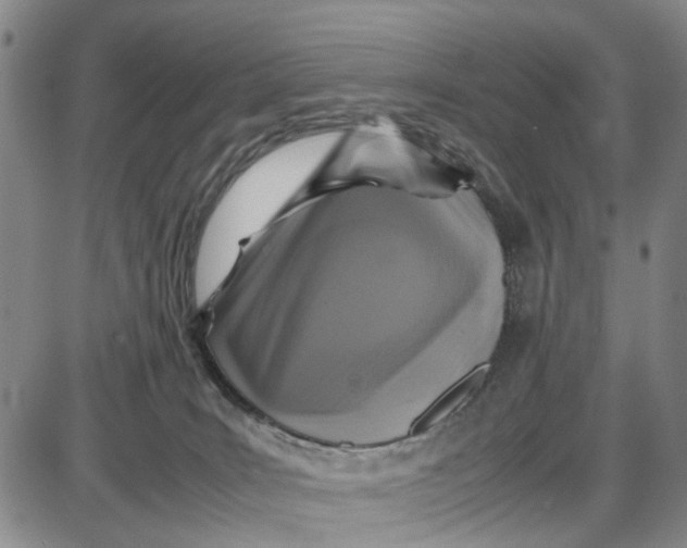 X0000087640035200705241251