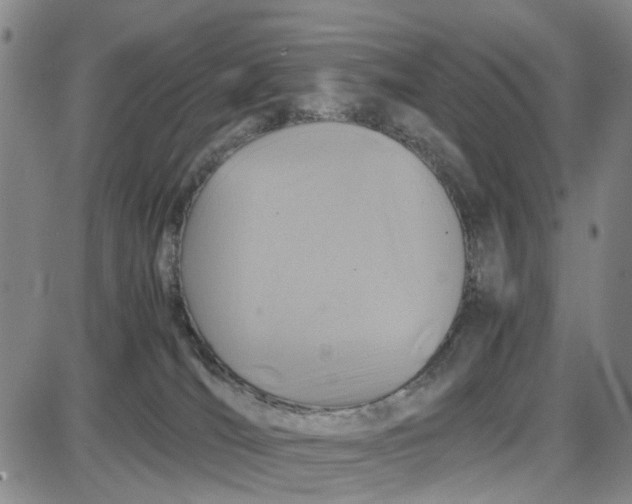 X0000087640036200705241251