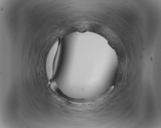 X0000087640037200705241251