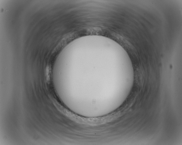 X0000087640038200705241251