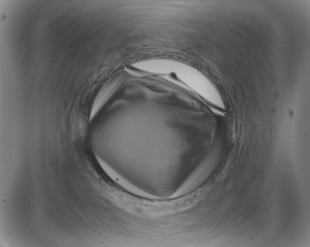 X0000087640039200705241251