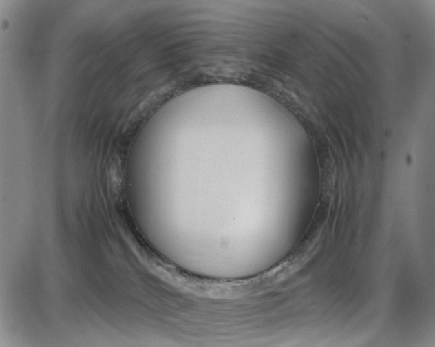 X0000087640040200705241251