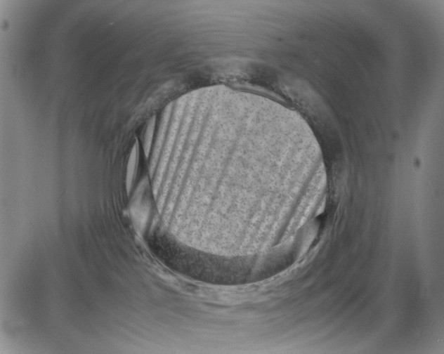 X0000087640041200705241251