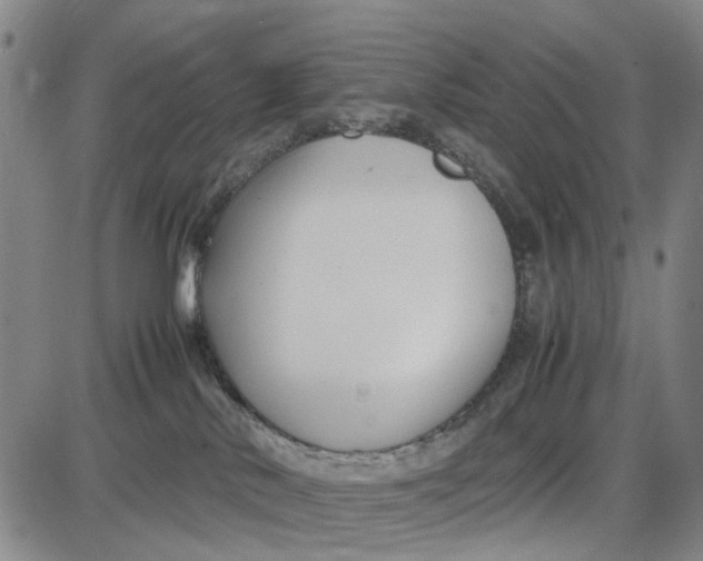 X0000087640042200705241251