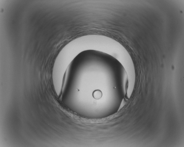 X0000087640043200705241250