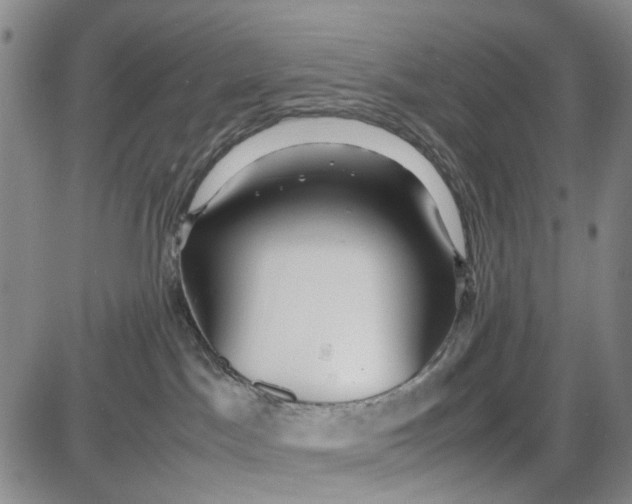 X0000087640045200705241250