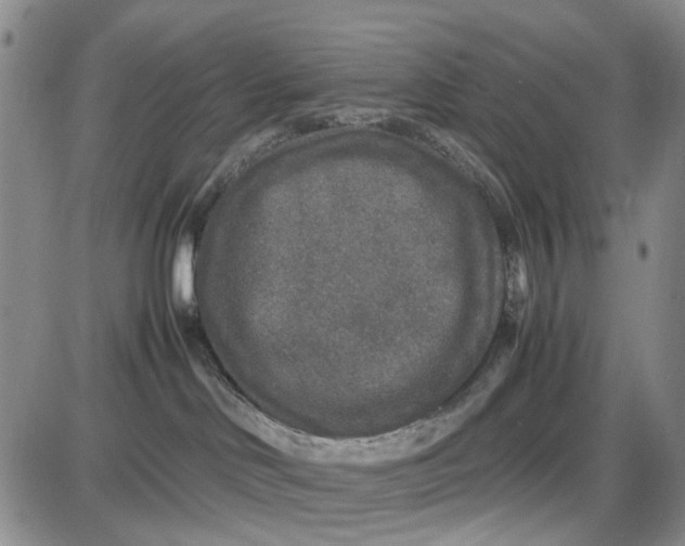 X0000087640046200705241250