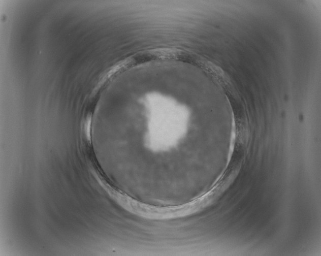 X0000087640047200705241250