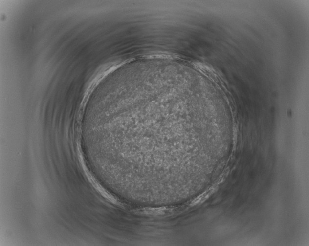 X0000087640049200705241250