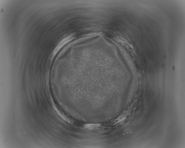 X0000087640051200705241250