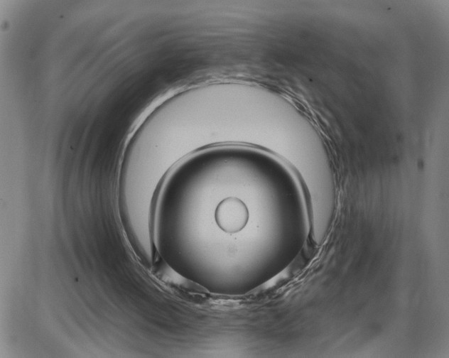 X0000087640052200705241250