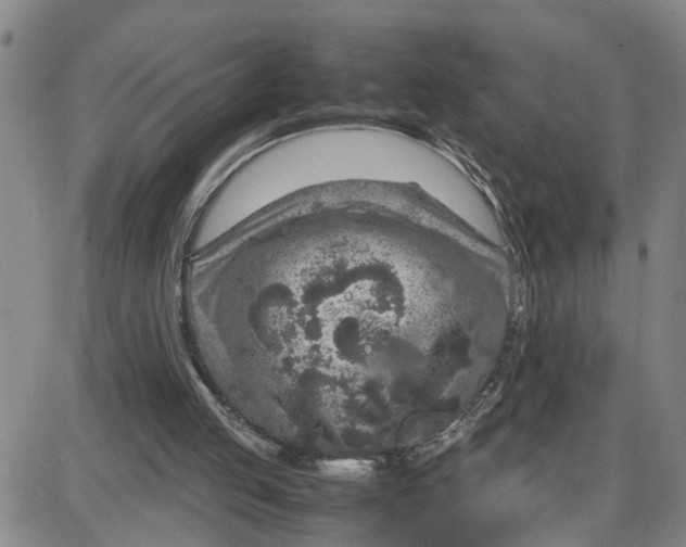 X0000087640053200705241250