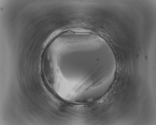 X0000087640054200705241250