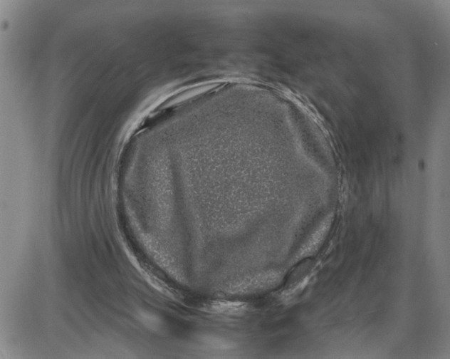 X0000087640055200705241250