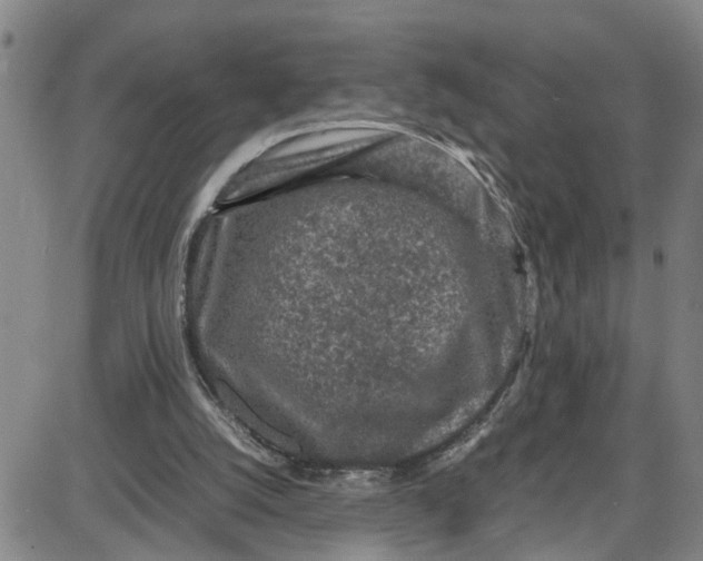 X0000087640056200705241250