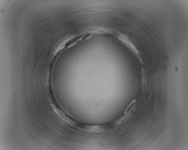 X0000087640058200705241250