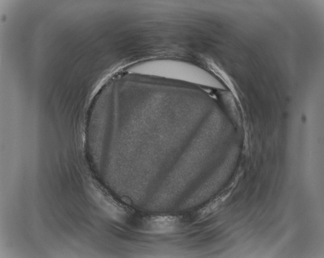 X0000087640059200705241250