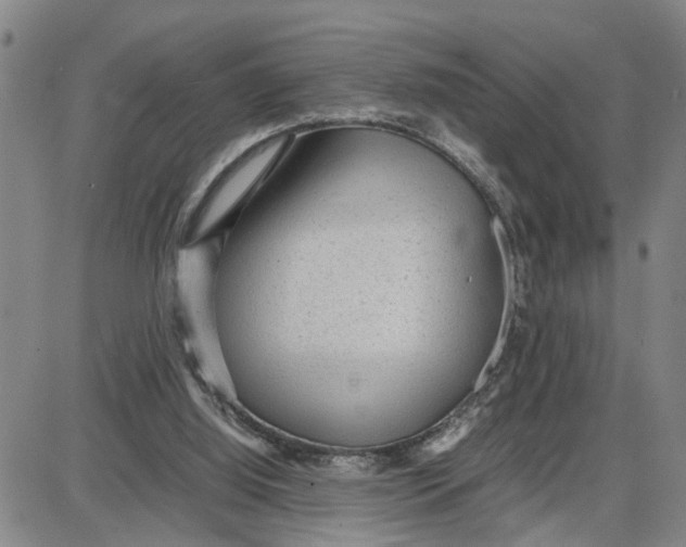 X0000087640060200705241250