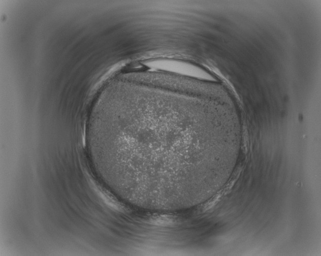 X0000087640062200705241250