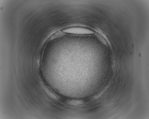 X0000087640063200705241250