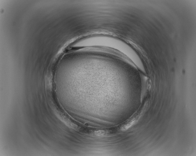 X0000087640064200705241250