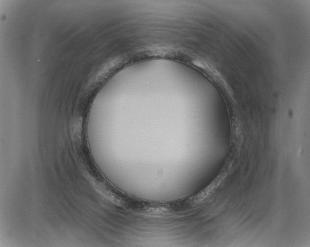 X0000087640066200705241250