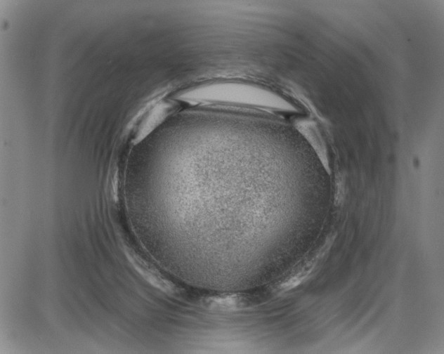 X0000087640068200705241250