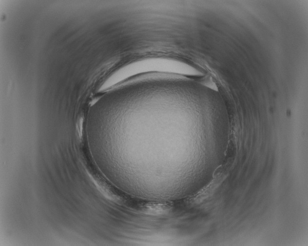 X0000087640070200705241250