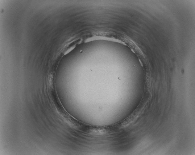 X0000087640071200705241250