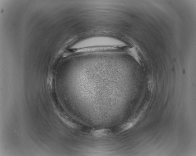 X0000087640072200705241250