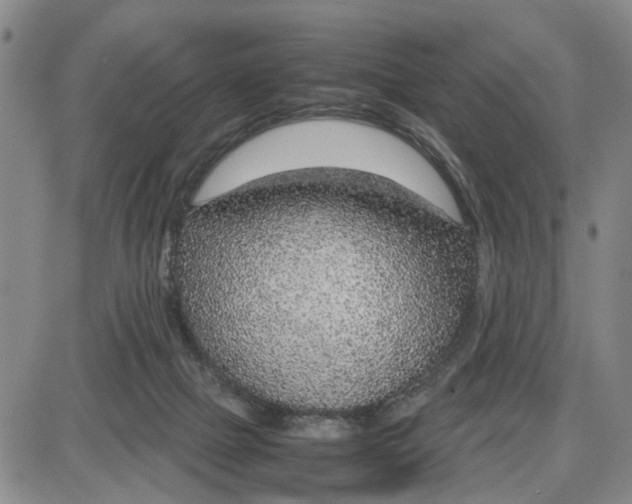 X0000087640073200705241250