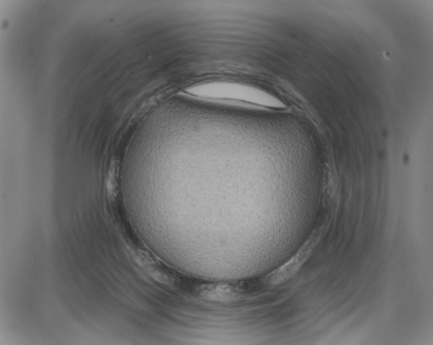 X0000087640074200705241250