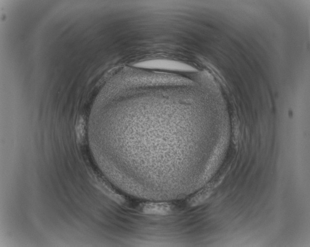 X0000087640077200705241250