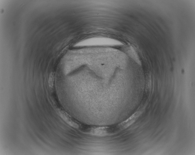 X0000087640078200705241250