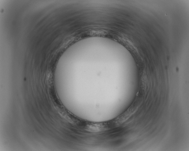 X0000087640079200705241250