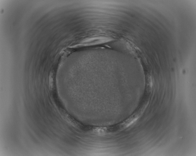 X0000087640080200705241250