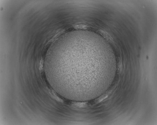 X0000087640081200705241250