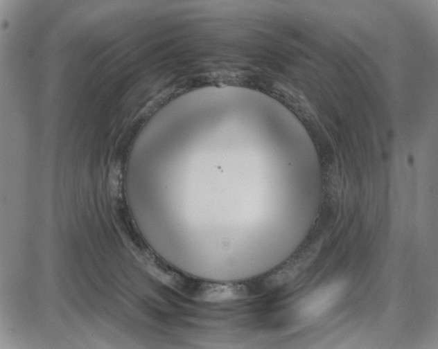 X0000087640083200705241250