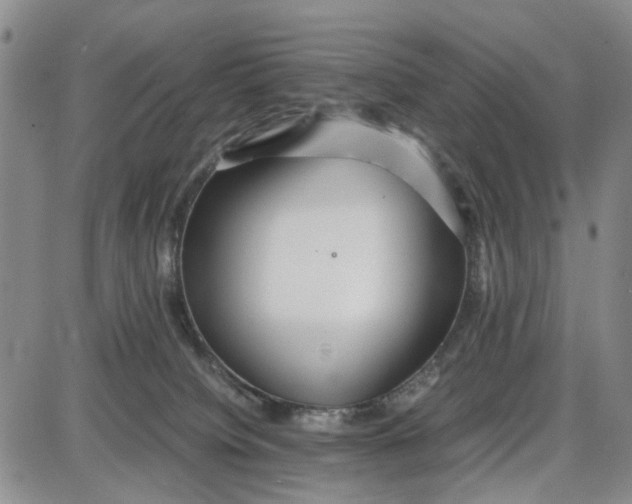 X0000087640084200705241250